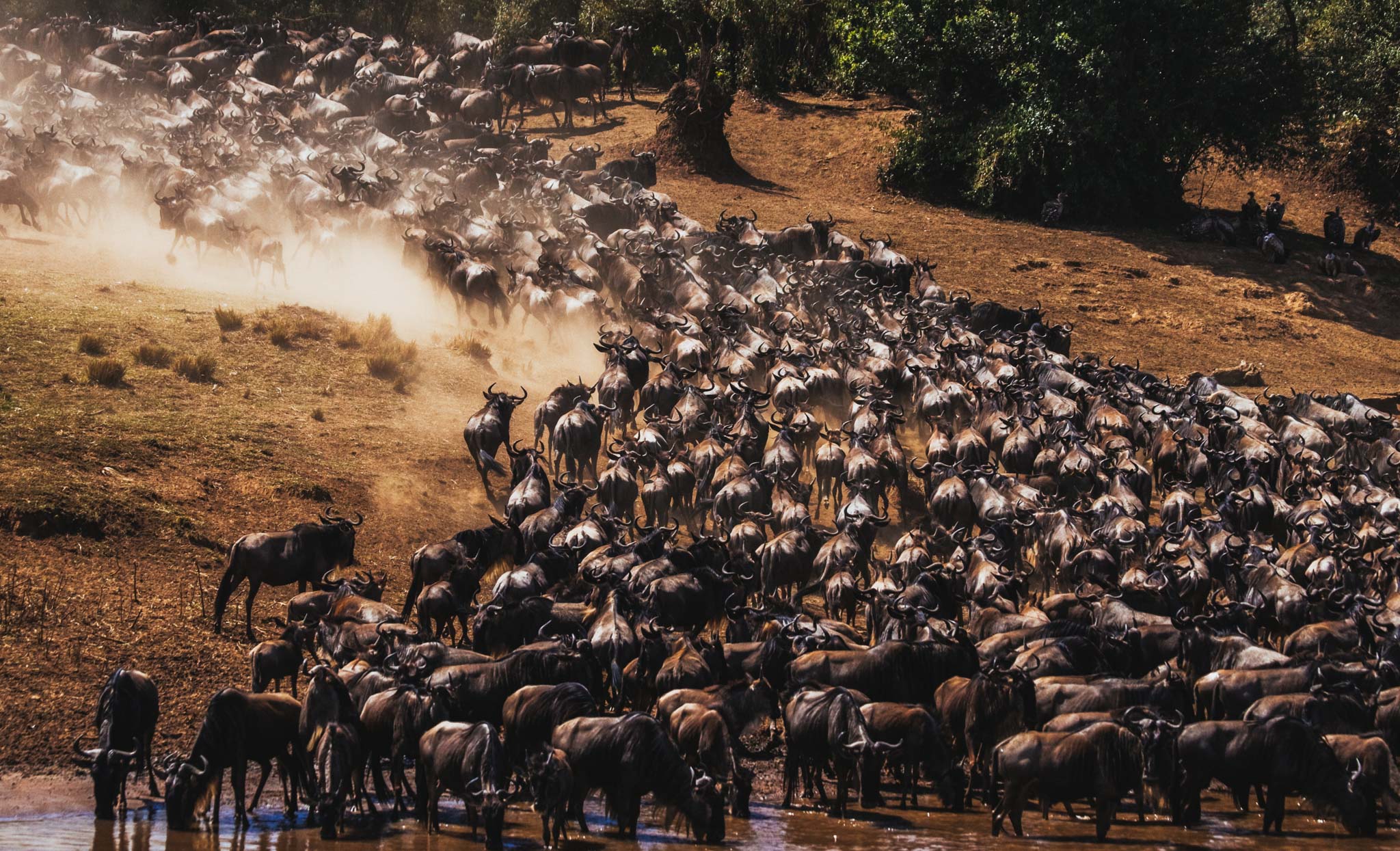 People riding horses through a creek